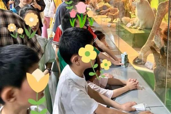 1991年正月十六：揭开你的命运之谜，探索五行奥秘！