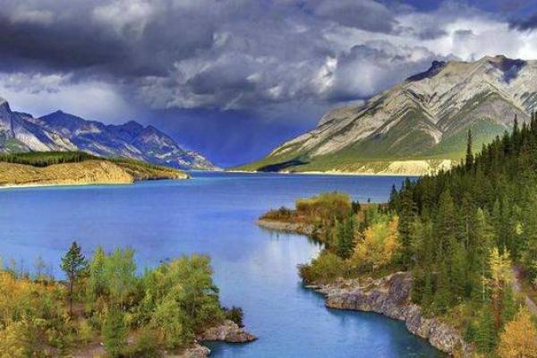 2020年鼠年命运：探索你的属鼠人生之旅与机遇