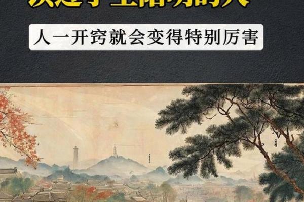 命格24属性解析:探索人生的多元可能性与内在智慧 命格24属性解析:探索人生的多元可能性与内在智慧
