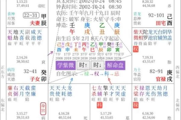 紫薇命宫深度解析：从命格看人生走向与运势变化