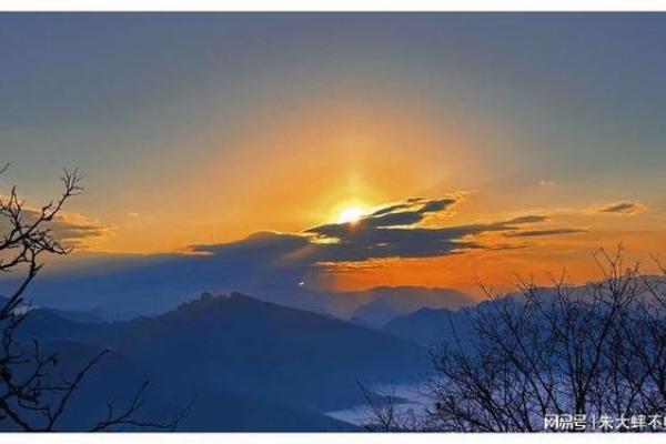 三十多岁属牛人与命运：踏实的步伐与未来的希望