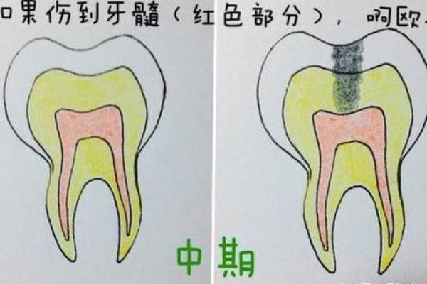 揭开牙齿36颗背后的命运之谜，探索牙齿与人生的深刻联系！
