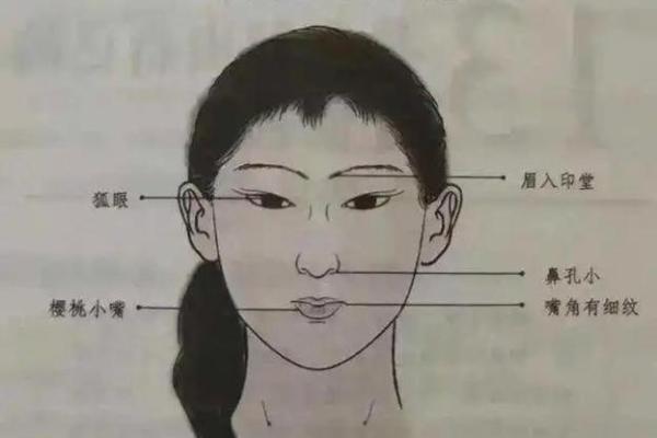 前脚掌翘起的命运解析：从命理学看个体特征与命运关系