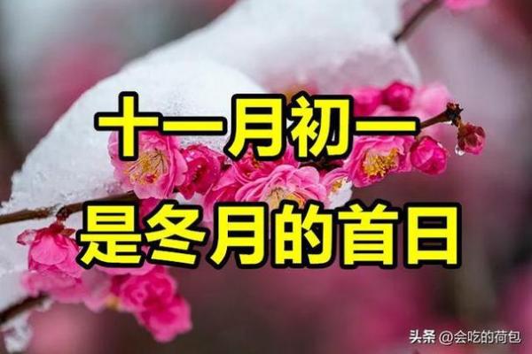 榴莲与冬月的奇妙命运：探寻81年冬月的性格与人生智慧
