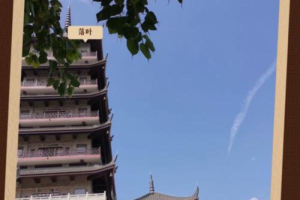 海中淘金：探索海洋资源的无限可能与魅力