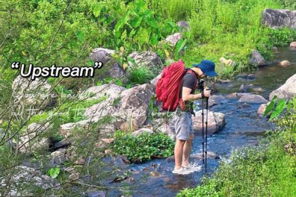 山涧水命女孩的生命密码：如何打破缺失，实现全面发展