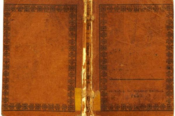 女命日元旺的寓意与生活启示