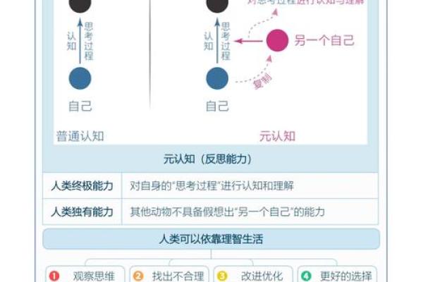 金命之人：什么专业适合你的天赋与性格？