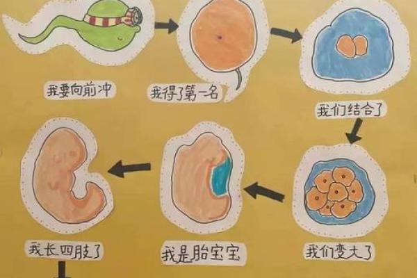 探秘命理学：了解你的命运与人生的奥秘