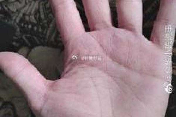 从面相看女人妾命：洞悉命运之谜的智慧之旅