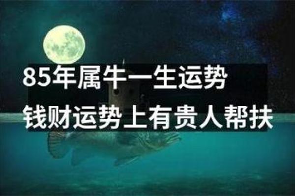 2021年属牛人命运解析：细数农历牛年的特点与运势