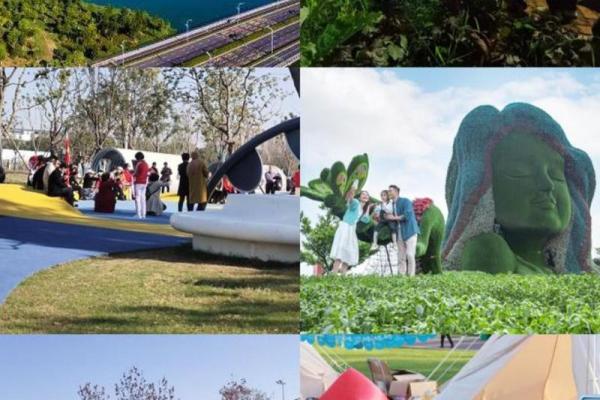 探索木命者的服装之道：让我们一起穿出自然与生机的魅力！