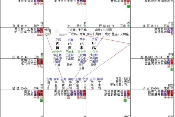 紫薇命格揭秘：如何通过命理获得财富与幸福的双重收获