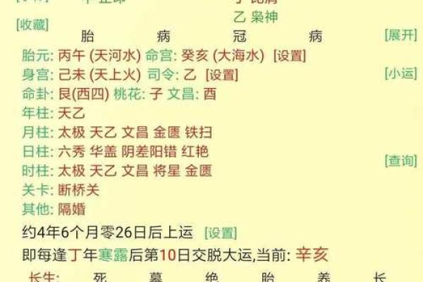 己酉年的人命运解析：从命理角度看生命的机遇与挑战