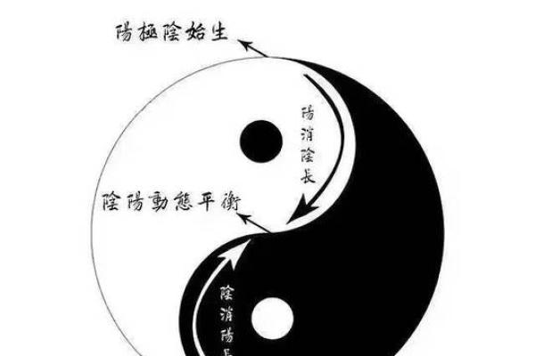 甲辰日出生之命运解析：从命理看人生的奥秘与机遇