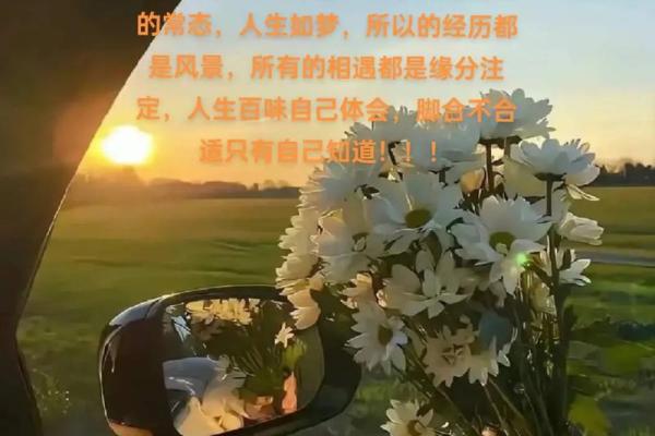 2017属鸡生人的命运解析与人生指南