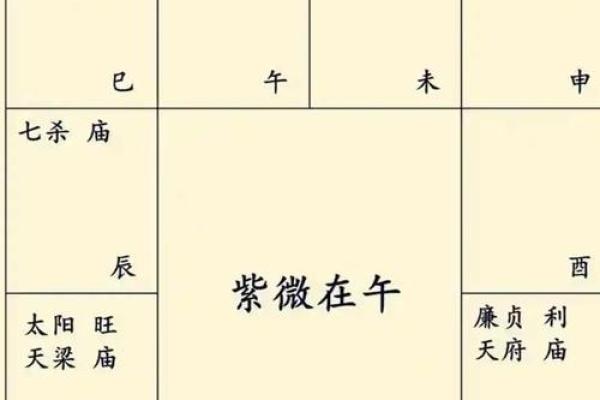八字命理：解密十二生肖的命运密码