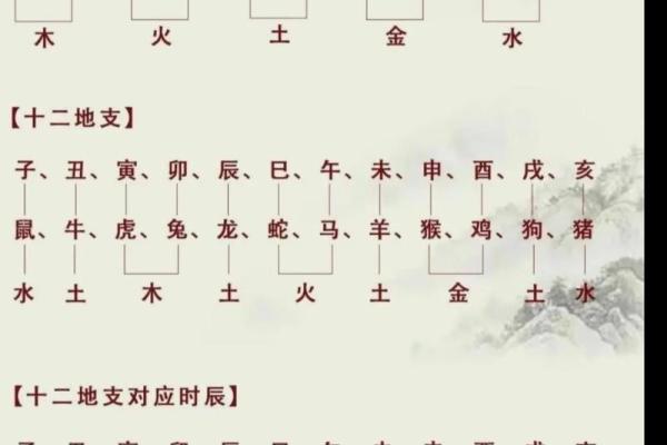 探索命理天干与身体健康的神秘联系