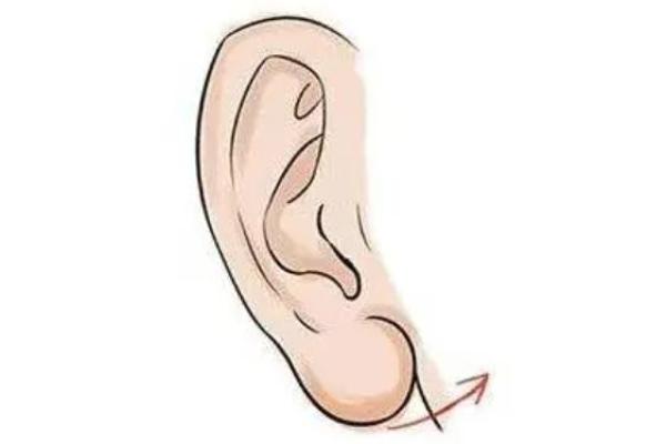 耳朵中段尖的人命运解析：揭秘你的性格与潜能