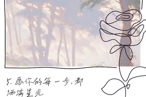 1996年出生的人命运解析：星辰的引领与人生的方向