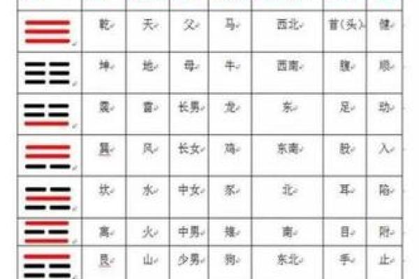 1996属龙的命运解析：探寻五行中的力量与智慧