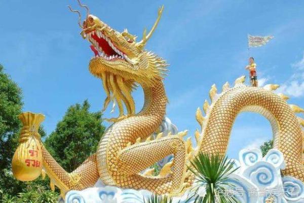 1996属龙的命运解析：探寻五行中的力量与智慧