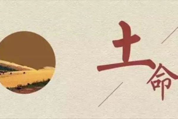 城墙土命的独特魅力与实用价值探究 城墙土命的独特魅力与实用价值探究