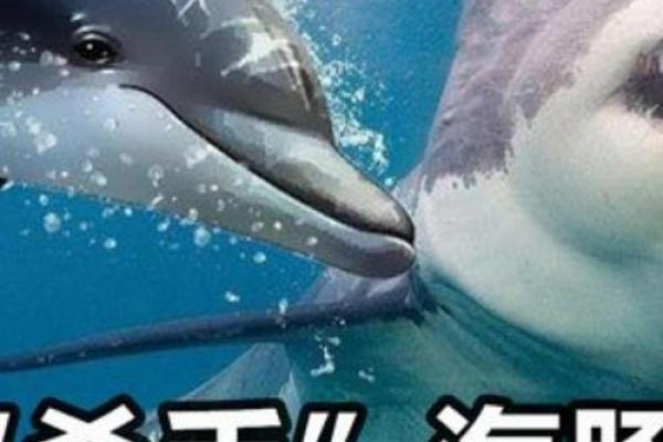 揭秘命魂灵石的神秘力量与独特作用