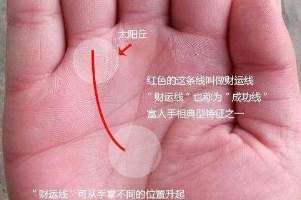 揭开钻石纹手相的奥秘，探索命运与财富的秘密！