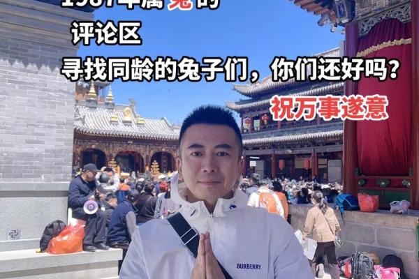 1987年属兔人：命运与生活的启示