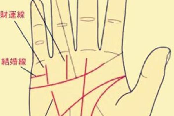手相不好的人命格解析：从掌纹看人生的起伏与方向