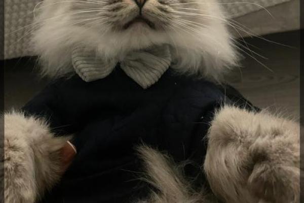 经常砸到头的小秘密：你是否也有这样的命运？