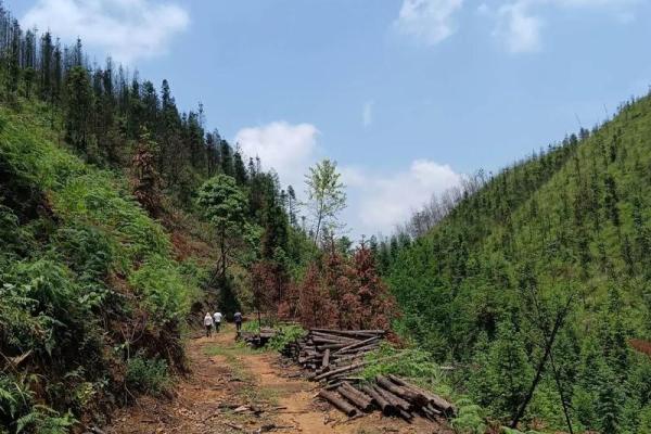 1953年水命人的性格特征与生活智慧 1953年水命人的性格特征与生活智慧