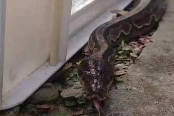 经常砸到头的小秘密：你是否也有这样的命运？