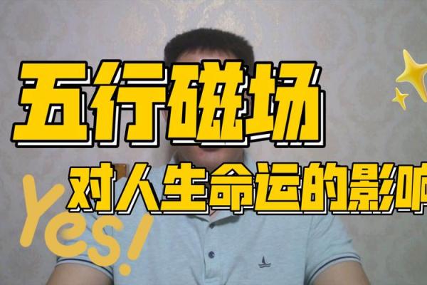 揭秘2012五行命运：如何影响你的一生