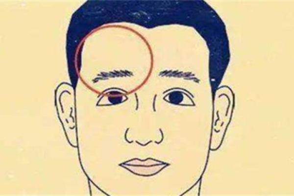眉毛太粗太浓的命理解析与风水影响,助你掌握人生运势 眉毛太粗太浓的命理解析与风水影响,助你掌握人生运势