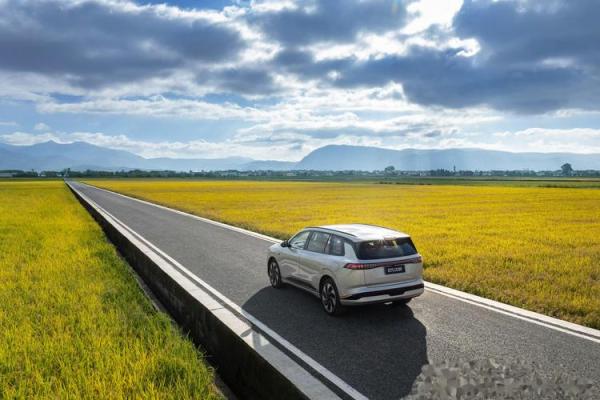 宋伟业：命理中的成功与机遇之旅