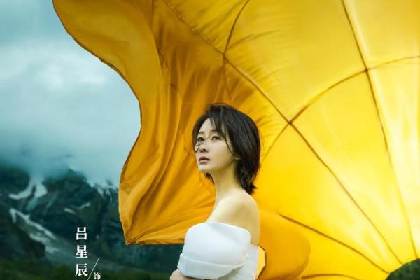 一九七八生的人生轨迹：命运的星辰与辉煌的旅程