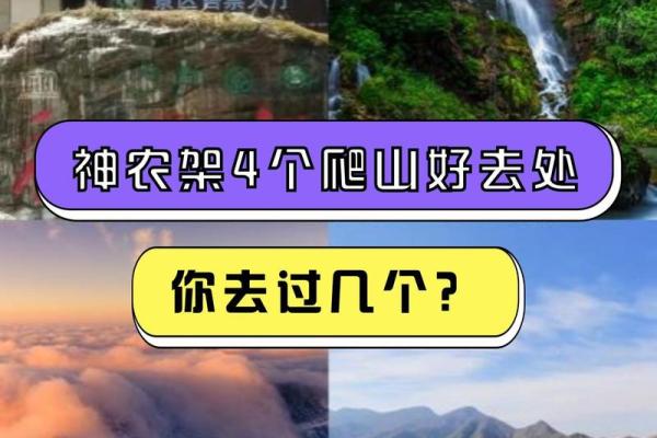 天生的皇帝命：探索内心的帝王之路