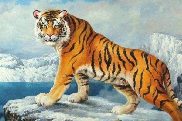 75年老虎命：揭秘生肖虎的性格与命运之旅