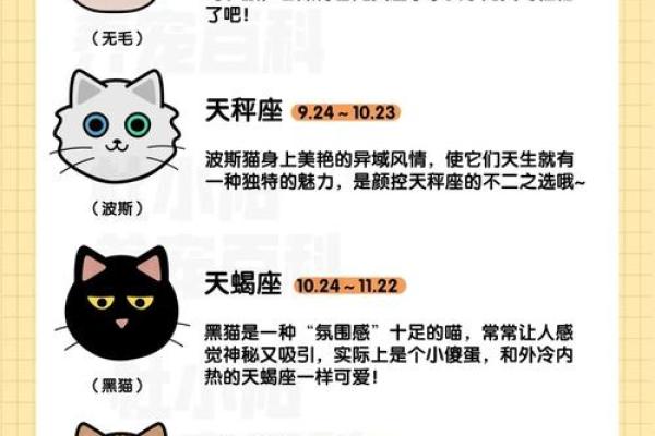 2018年命中注定：星座与运势的神秘启示