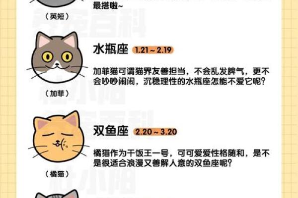 2018年命中注定：星座与运势的神秘启示