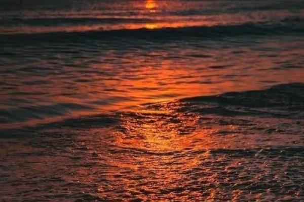 为民之命：探索成语中的人民情怀与古训智慧