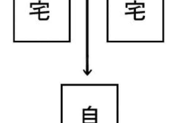 探秘风水命理：带“三”的深层含义与运势解析