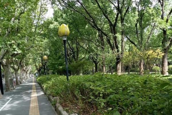 为民之命:探索成语中的人民情怀与古训智慧 为民之命:探索成语中的人民情怀与古训智慧