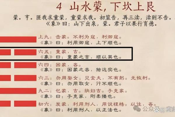 丙戌日命理解析:探索丙戌命的属性与独特人生轨迹 丙戌日命理解析:探索丙戌命的属性与独特人生轨迹
