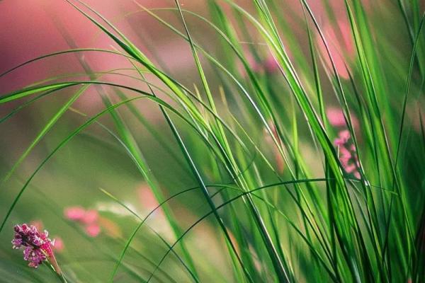 大海水命者的挂画选择：打造心灵与自然的和谐空间