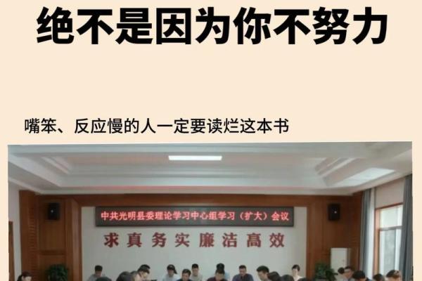 86年是什么命，婚配分析与建议！解读幸福人生终极指南