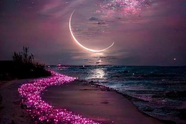 1997年4月11日出生的你：命运的多面性与人生的精彩旅程