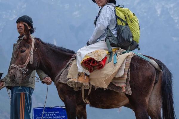 晚婚男人的命运之道：解读幸福的秘密与人生规划